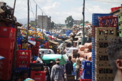 „Addis war eine Stadt voller Rohbauten rund um einen riesigen Aufmarschplatz, eine Stadt voller Piktogramme und naiver Malerei an Geschäften und Restaurants, zusätzlich zur Beschriftung, eine Stadt, in der sich der Verkehr jeden Morgen, jeden Abend auf die gleiche Weise staute und es trotzdem niemals laut wurde. Einzig interessant war der zentrale Markt, der noch aus der Zeit der italienischen Besatzung Mercato hieß und ein reines Chaos war. Und ausgerechnet hier, fragte er sich auf Schritt und Tritt, willst du mit ihr leben?“