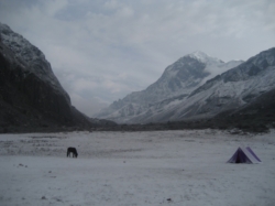 „Die ganze Nacht hagelte es oder schneite, tagsüber wehte ein wilder Wind, wir wanderten in Wolken. Nur einmal rissen sie für ein, zwei Minuten auf und zeigten das Panorama, das wir Tag für Tag verpaßten. Sikkim ... where nature smiles. Entweder war es eine elende Plackerei, oder wir harrten tatenlos im Zelt aus, und die Zeit rannte uns davon...“ (S.244)