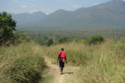 „Die Büsche waren jetzt andre Büsche, und das Feld war ein andres Feld und auch der Himmel darüber und das Licht, alles war anders als auf dem Hinweg. Weit vor ihm auf dem Pfad sah Trattner jemanden bergab gehen, der ein rotes Tuch über die Schulter geworfen hatte. Nachdem sie etwas aufgeholt hatten, war’s eine der Frauen, die am Feldrand gerastet und sich offensichtlich schon vor ihnen auf den Weg gemacht hatte, das rote Tuch war eine rote Jacke. Ein Mann kam ihr entgegen, der freilich keinerlei Notiz von ihr nahm, er hatte’s eilig – Kokordi.“