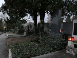 „Fest steht, daß Trattners Leichnam nach der Überführung auf dem Grinzinger Friedhof bestattet wurde – Professor Zottler soll eine grandiose Rede am Grab gehalten und dafür gesorgt haben, daß auf Grabstein und Grabschmuck verzichtet wurde. Als ich das Grab im Rahmen meiner Recherchen besucht habe (Gruppe 21, Reihe 6, Nr.1A), war die Scherbe noch in situ. Trattners Ruhestätte liegt übrigens direkt neben dem Grab von Thomas Bernhard, steht man davor, könnte man glauben, sie wäre weiterhin unbenutzt.“