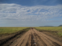 Wir fahren am Morgen
Wir fahren am Mittag
Wir fahren am Abend
Wir fahren
Und fahren
Unsre Nächte sind klein
Und sie knistern vor Kälte
Unsre Tage sind gelb
Voller Glitzern und Glimmern und Gleichmut und Wind ... (S.373)