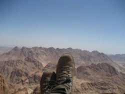 Wie sie im Schuhschrank dunkelbraun und klobig,
ja, grantig steh’n, sieht’s ihnen keiner an,
daß sie mir schon einmal das Leben
gerettet: auf ’nem Berg im Sinai,
könnt’ sein, es war der Dschebel Ahmar,
nicht mal mein Führer wußte das genau,
ein Opiumbauer aus dem Feiran-Tal,
der mich am Ende ... (S.135)