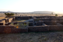 „Trattners Stelenfeld gegenüber, nur durch die Straße getrennt, lagen die Ruinen eines Palasts, der von der einheimischen Tourismusindustrie der Königin von Saba zugeschrieben wurde. Für die wenigen, die auf den Schwindel hereingefallen und den Weg aus Aksum gekommen waren, hatte man eine Aussichtsplattform gebaut; darauf stand Trattner nicht selten, wenn die schönste Stunde des Tages angebrochen war, die Stunde vor Sonnenuntergang. Er blickte über Ruinen, Straße, Stelenfeld hinaus in die Ebene und dachte schon lang an gar nichts mehr.“