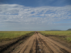 »›Was er denn die Tage zuvor gemacht hätte?‹ wollte ich nun vom Tscharli wissen. Zuvor? Nichts Besonderes. Er sei ein paar Tage mit King Charles durch die Serengeti gefahren. Einfach nur gefahren, das Dach zurückgeklappt, so daß er, der Tscharli, direkt hinter King Charles habe stehen können, den Fahrtwind im Gesicht. Sie hätten nirgendwo angehalten und wären erst recht nirgendwo angekommen, total abgefahren. Nein, Löwen seien ihm egal gewesen, wer interessiere sich denn ab dem dritten Tag in Afrika noch für Löwen?« (S. 102)