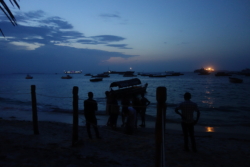 »Ein Wind war vom Meer aufgekommen und raschelte mit den Palmwedeln. Die Nacht war lau und schien unendlich lang. Wenn man übers schwarze Wasser hinausblickte, sah man jetzt hinterm Lichterfunkeln am Horizont bis ans Ende der Welt. ›Na, Hansi, was schaugst ’n mit die Augn?‹ Der Tscharli legte mir ganz vorsichtig seine Hand auf den Unterarm: ›Denkst’ drüber nach, wia ma des als Roman verbratn könnt?‹« (S.157)