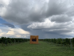 „Mit Hilfe eines Gönners, hatte er einen riesigen Schaumstoffwürfel, drei mal drei mal drei Meter, mitten in einem Weinberg nahe der tschechischen Grenze verzurrt und zu zehnt im Rahmen eines ersten Happenings mit bloßen Händen ausgehöhlt. Am Abend der Vernissage bat er ein paar Jazzmusiker zum Konzert in die Höhlung, es wurde eine richtige Sause, wie man sie von seinen Aktionen erwarten durfte, und am nächsten Tag erklärte ihm Lena: Das sei ein Riesenscheiß gewesen, der Würfel im Weinberg, aber auch schon der ganze andre Schaumstoffschmarrn.“