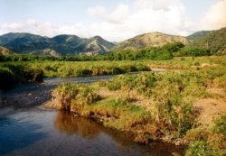 "Flott ging's dahin, auf Schotterpisten mit fallgrubenartigen Schlaglöchern, linkerhand das Meer, rechterhand, nah und steil, der Gebirgszug der Sierra Maestra. Nur vorübergehend wurde die gute Laune durch eine überraschend querende Ziege getrübt ..."