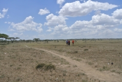 "Erst am Abend, als wir die Ereignisse des Tages Revue passieren ließen, fragten wir uns, ob Julius wirklich mit bloßem Dolch einen Löwen hätte töten wollen..." (S.140)
Mit Seb und Julius
Serengeti, 5.3.2014